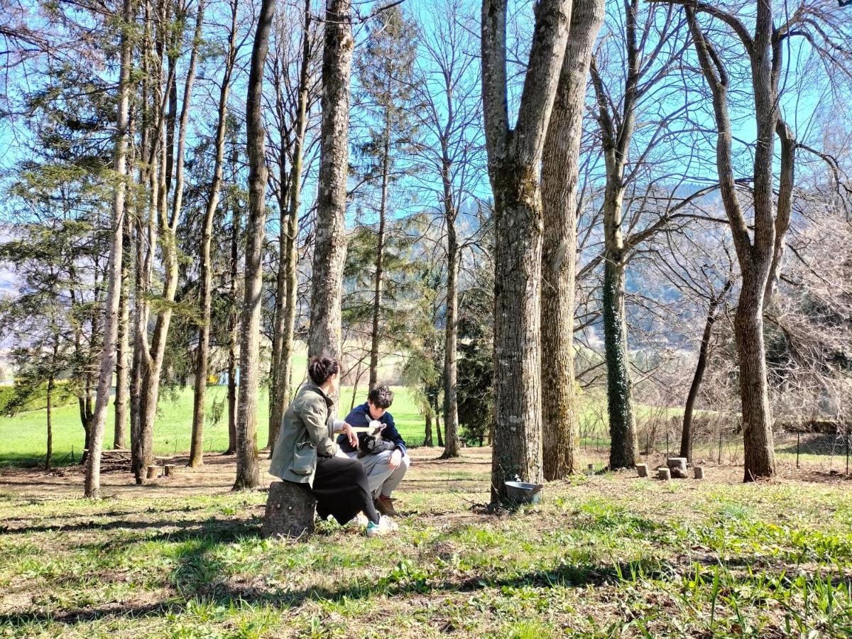 Foresteria Miramonti Affittacamere Fiavè Esterno foto